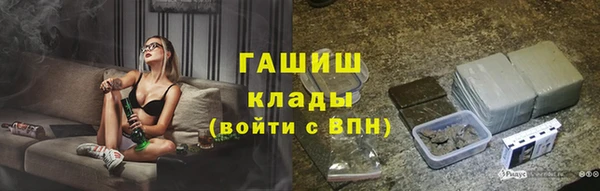 соль ск Тайга