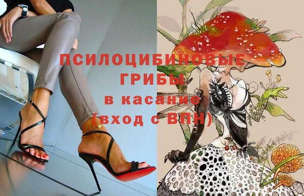 spice Тобольск